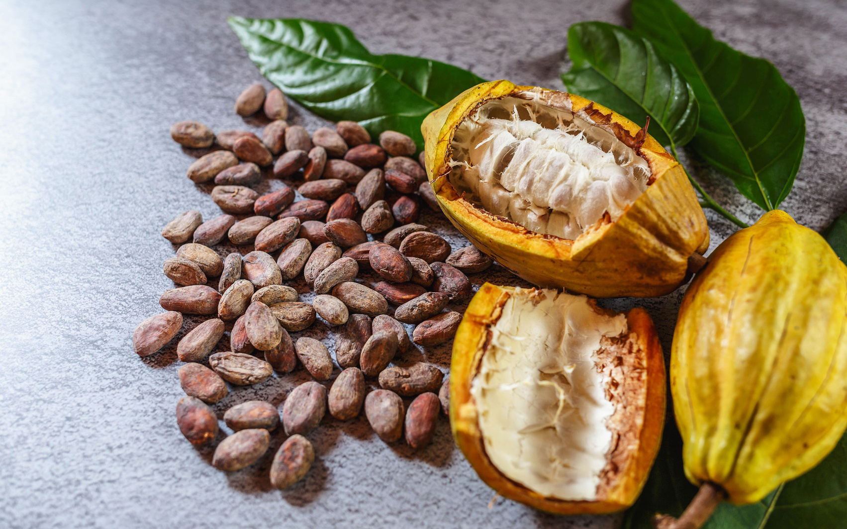 Cocoa Beans and Cocoa Fruits   with raw Cocoa